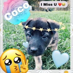 Meet your Posher, Jamie